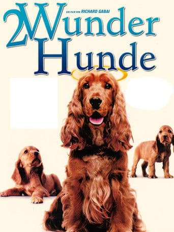 2 Wunder Hunde