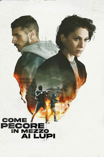 Come pecore in mezzo ai lupi