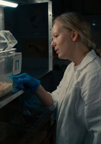 Условные рефлексы