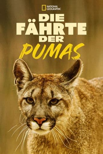 Die Fährte der Pumas