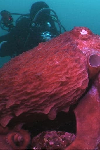 Animal Instincts - When Monsters Call - The Bizarre Water-World of Noto Peninsula, Japan