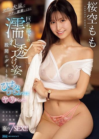 突然の大嵐でウチに避難してきた巨乳部下の濡れ透け姿が股間にグッときてびちょびちょのままヤリまくった。