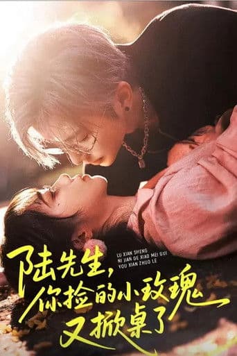 陆先生你捡的小玫瑰又掀桌了