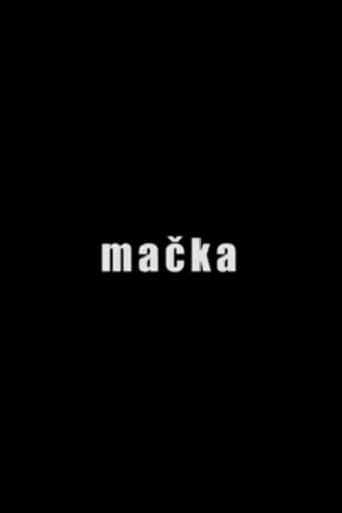 Mačka