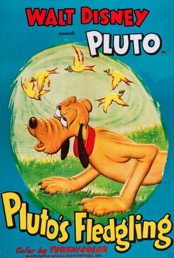 Pluto als Fluglehrer