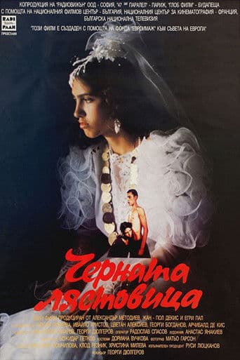 Черната лястовица