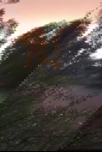 It's okay, you're with me