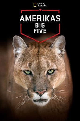 Amerikas Big Five
