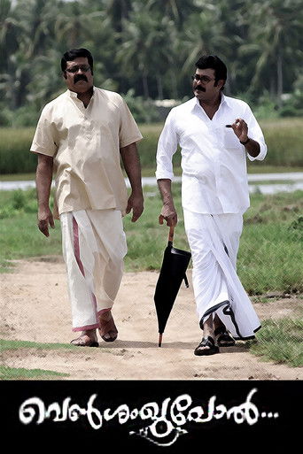 เดตเตเตบเดถเดเดเตเดชเตเตฝ