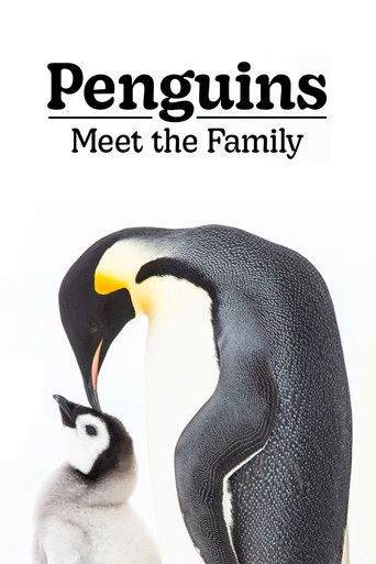Pinguine – Eine faszinierende Familie