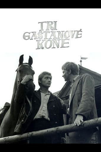 Tri gaštanové kone