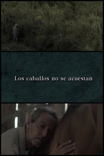 Los caballos no se acuestan