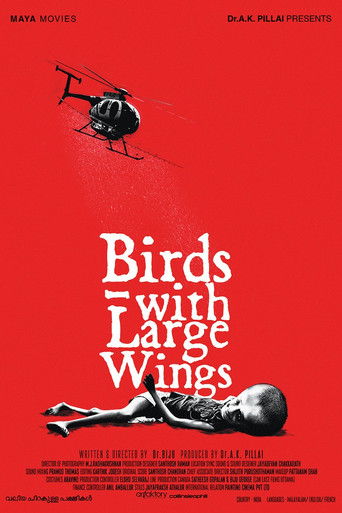 വലിയ ചിറകുള്ള പക്ഷികൾ