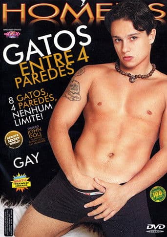 Gatos entre 4 paredes