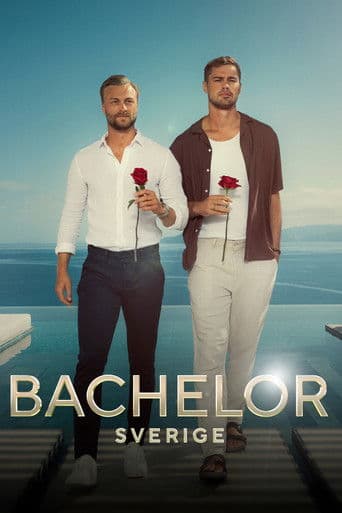 Bachelor Sverige
