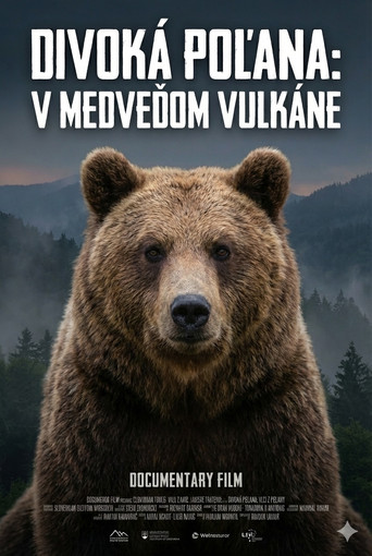 Divoká Poľana: V medveďom vulkáne