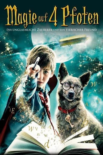 Magie auf 4 Pfoten
