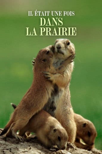 Il était une fois dans la prairie