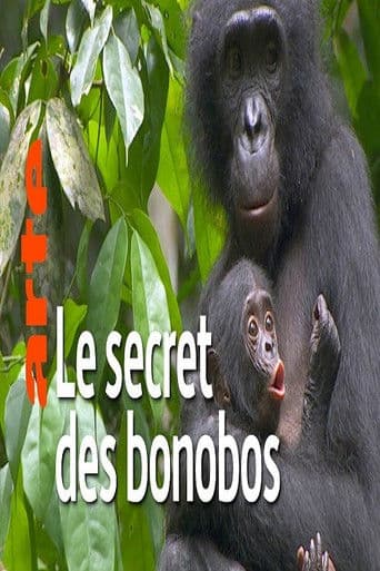 Das verborgene Leben der Bonobos