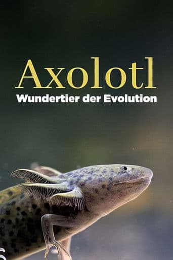Axolotl, la salamandre miraculeuse