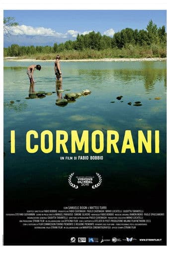 I cormorani - Sommer einer Freundschaft