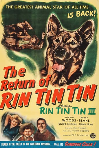 Rin Tin Tin - Die Rückkehr