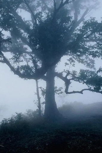 สัตว์วิกาล