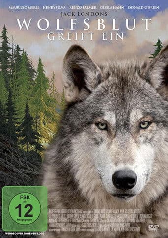 Wolfsblut greift ein