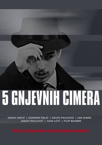5 gnjevnih cimera