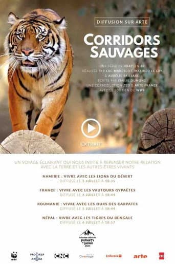Freie Bahn für Wildtiere