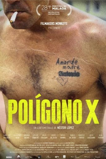 PolÃgono X