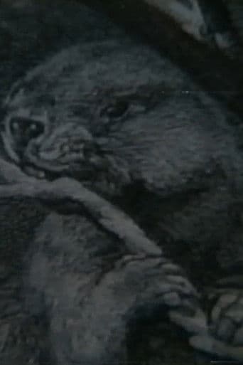 Raport w sprawie bobra