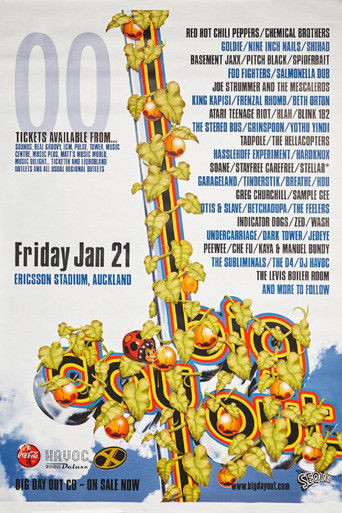 blink-182 - Big Day Out 2000 Melbourne, Australia