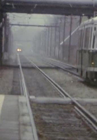 Five Year Diary, Reel 9: Happy Birthday ’33 (March 17⁠–27, 1982)