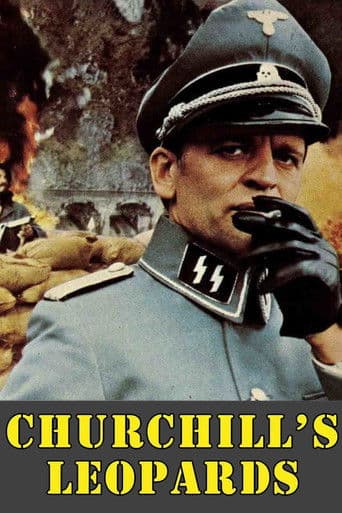 Churchills Leoparden