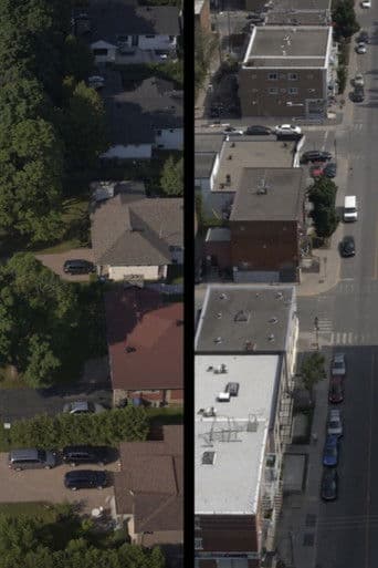 Des voisins dans ma cour