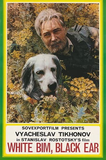 Weißer Bim, schwarzes Ohr