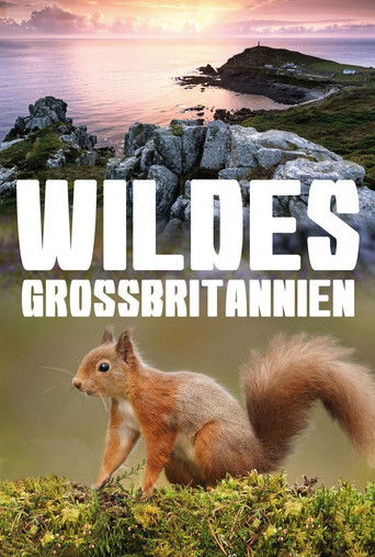 The Great British Year