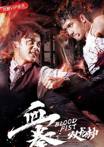 血拳之双龙劫