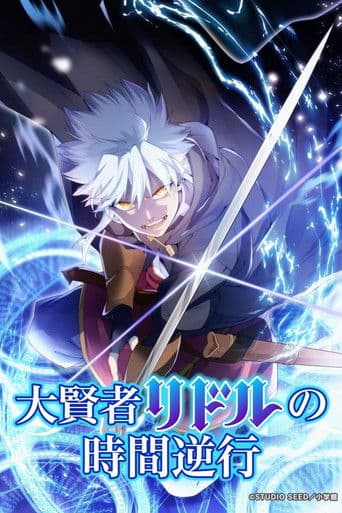 大賢者リドルの時間逆行