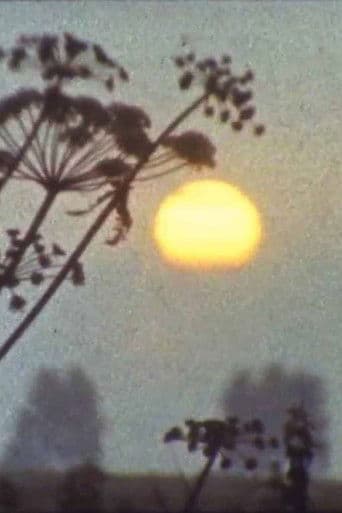 Мої вихідні