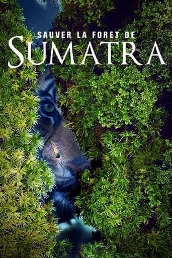 Indonesien - Im Einsatz für Sumatras Urwald
