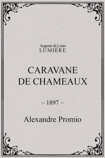 Caravane de chameaux