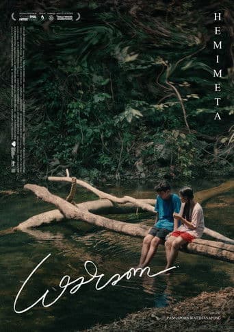 เฮมิเมตา