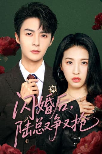 闪婚后陆总又争又抢