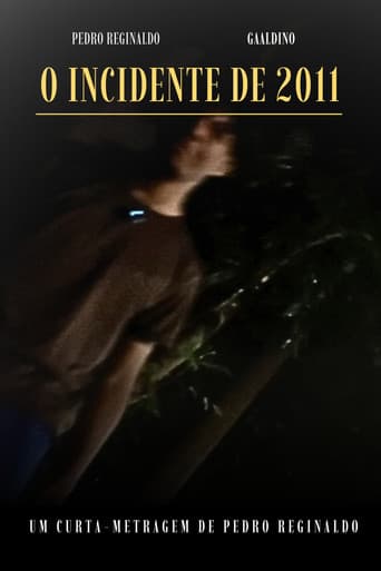 O INCIDENTE DE 2011