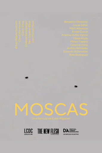Moscas