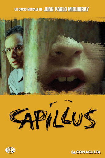 Capillus Fanum