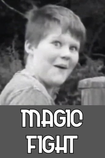 Magic Fight