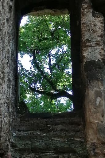 Les ruines du château de Seyssuel